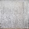 20 Feet X 10 Feet Big Payette Sequin Backdrop Curtain