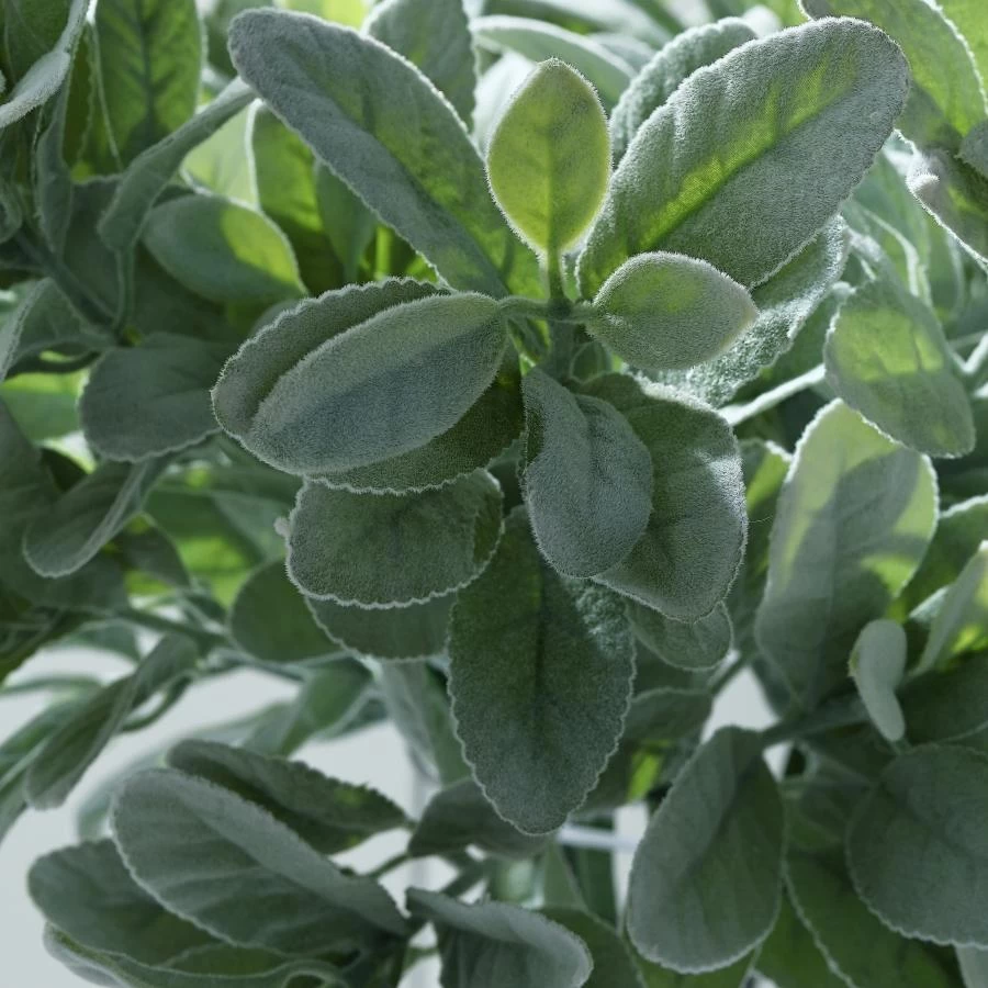 2 Frosted Green 24 In Artificial Flocked Lambs Ear Leaves Sprays Stems - Image 3