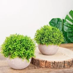 2 Green 5" Tall Mini Boxwood Topiary Artificial Plants In Gray Planter Pots