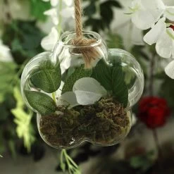 3 Clear Flower Glass Wall Hanging Terrariums Vases