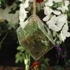 3 Clear Rhombus Glass Wall Hanging Terrariums Vases