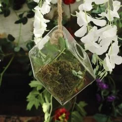 3 Clear Rhombus Glass Wall Hanging Terrariums Vases