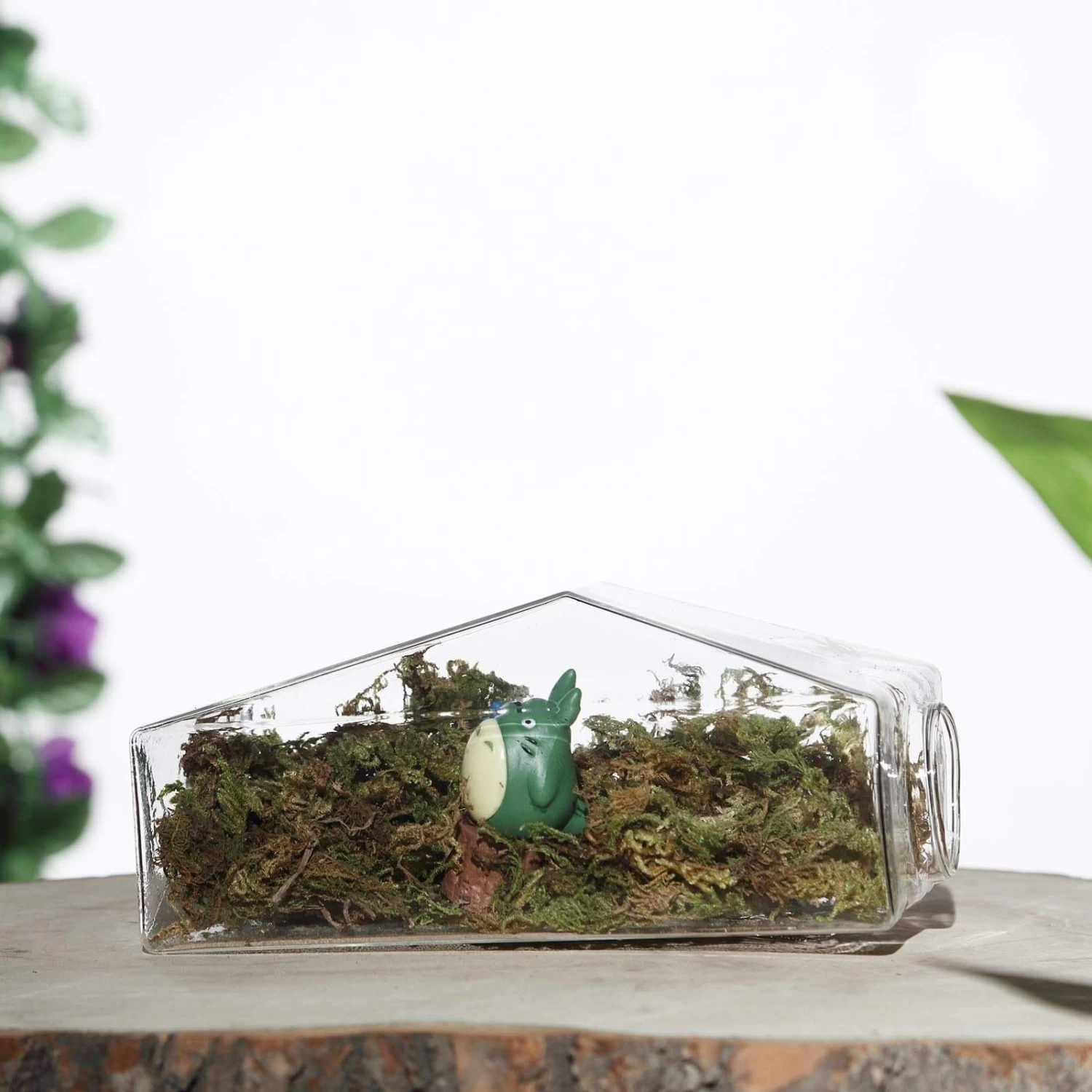 3 Clear Trapezoid Glass Wall Hanging Terrariums Vases - Image 4