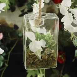 3 Clear Trapezoid Glass Wall Hanging Terrariums Vases