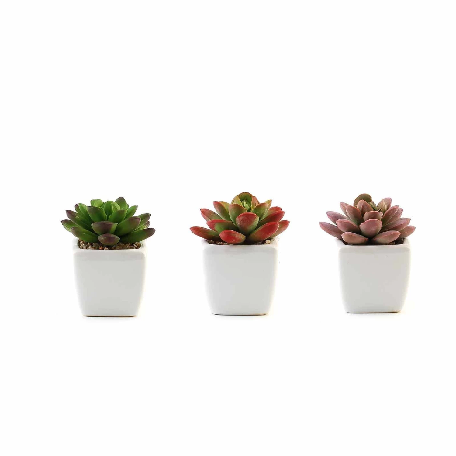 3 Pcs 3" Assorted Artificial Faux Realistic Small Echeveria Succulent Plants With Pots - Image 3