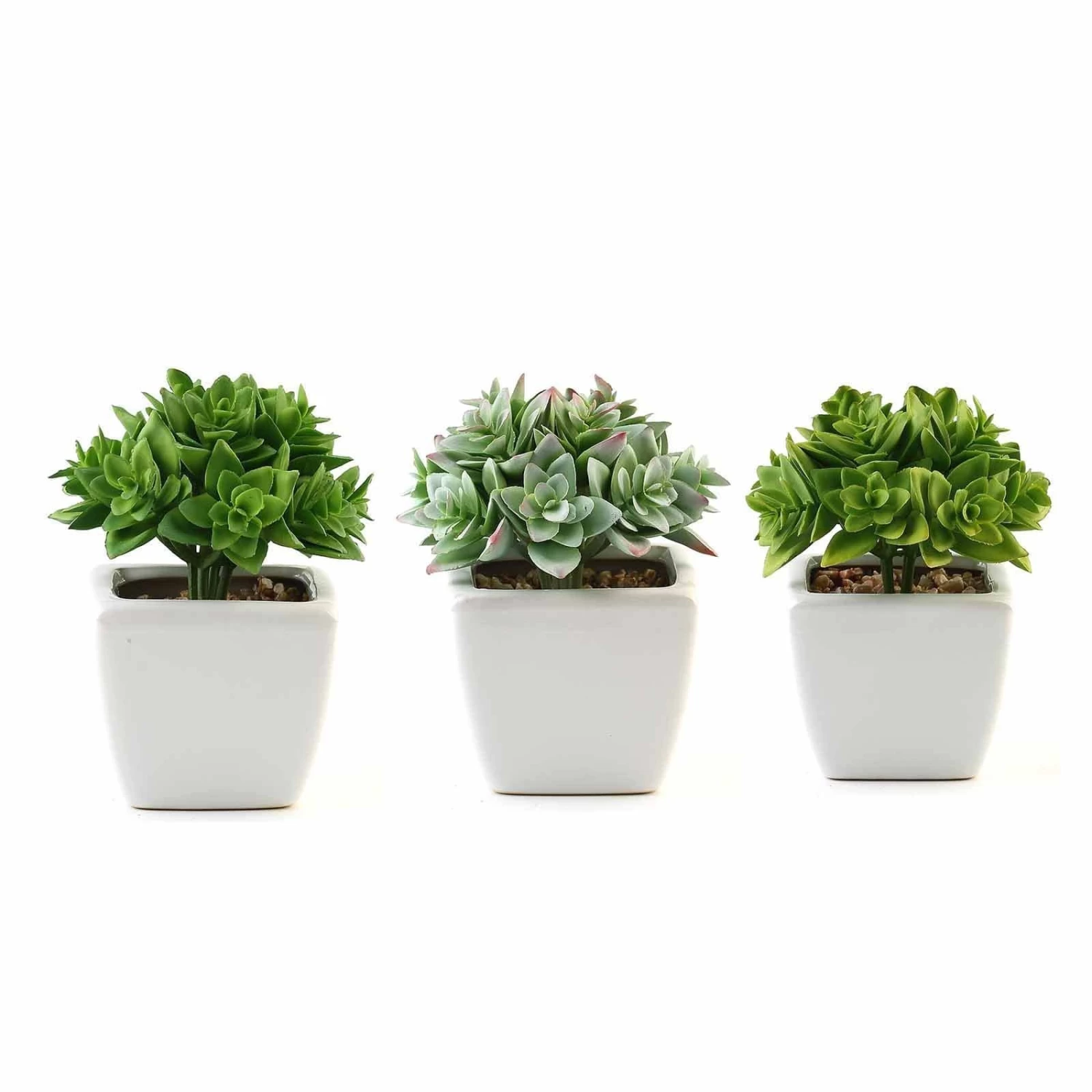 3 Pcs 4" Green Artificial Faux Crassula Succulent Plants With Off White Pots - Image 3