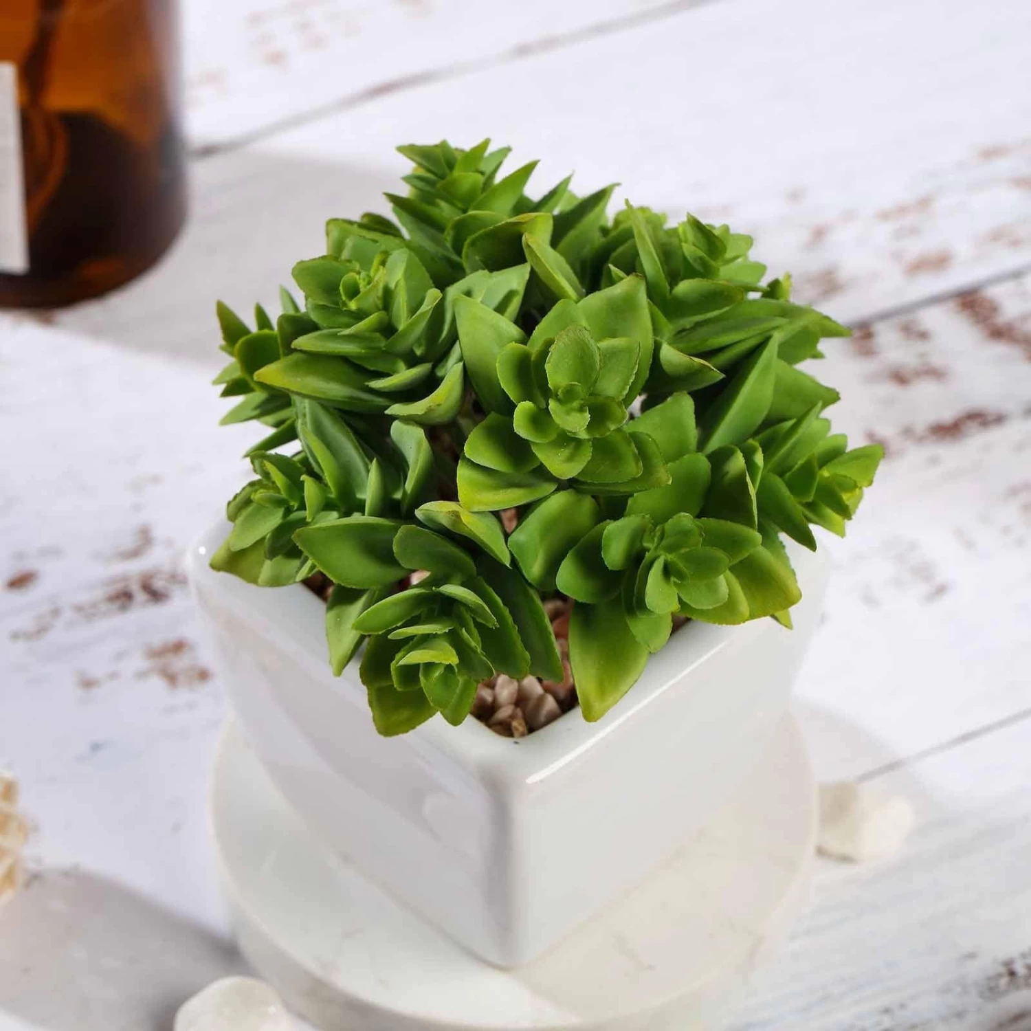 3 Pcs 4" Green Artificial Faux Crassula Succulent Plants With Off White Pots - Image 4