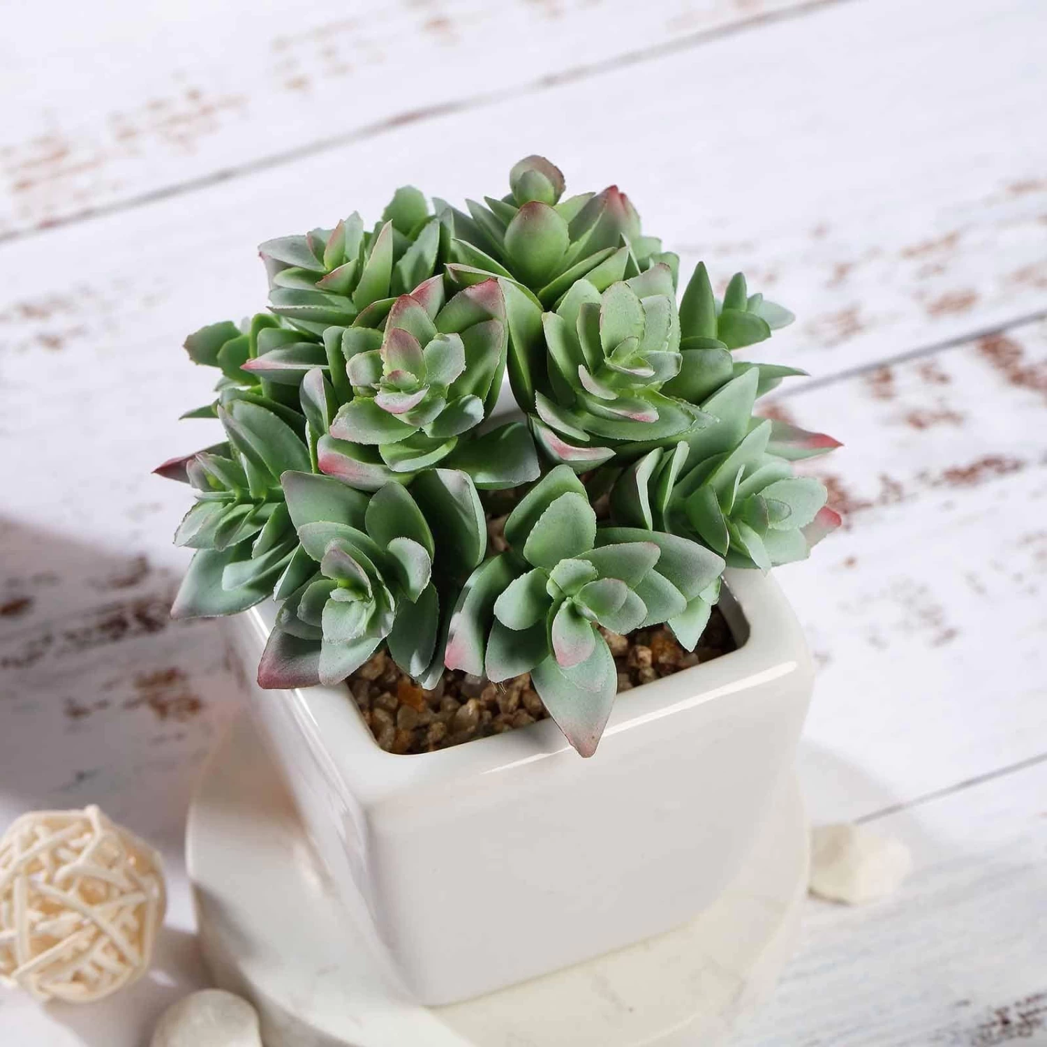3 Pcs 4" Green Artificial Faux Crassula Succulent Plants With Off White Pots - Image 6
