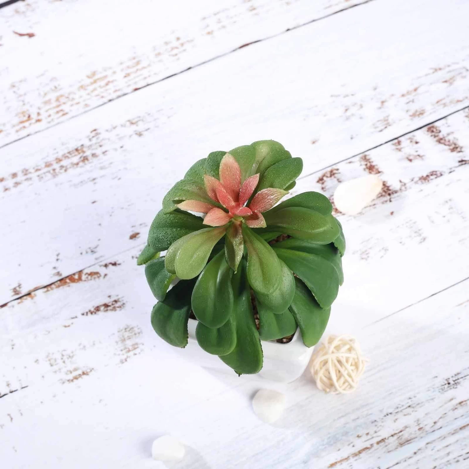 3 Pcs 5" Assorted Artificial Faux Echeveria Succulent Plants With Off White Pots - Image 4