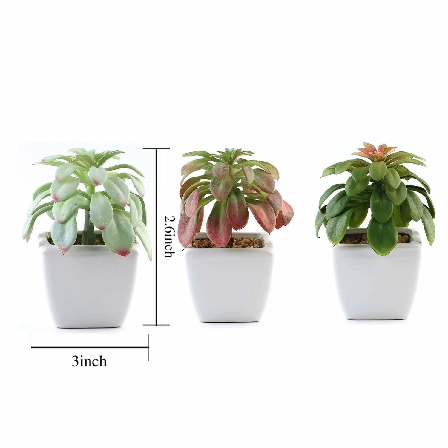3 Pcs 5" Assorted Artificial Faux Echeveria Succulent Plants With Off White Pots - Image 2