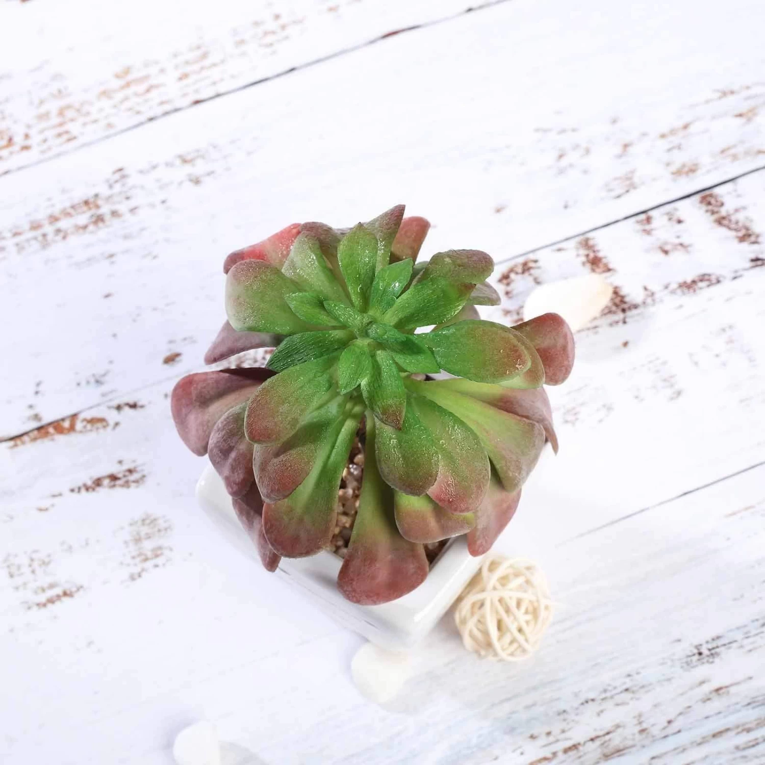 3 Pcs 5" Assorted Artificial Faux Echeveria Succulent Plants With Off White Pots - Image 5