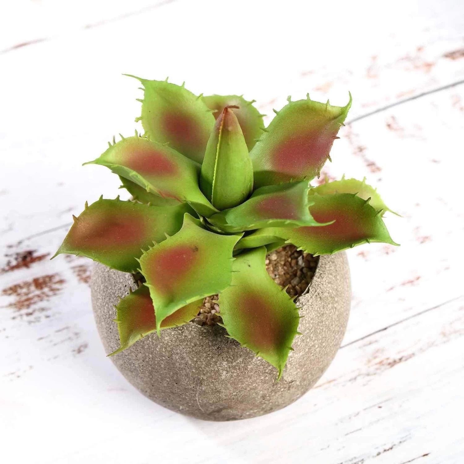 3 Pcs 5" Assorted Artificial Faux Home Garden Aloe Succulent Plants With Round Pots - Image 5