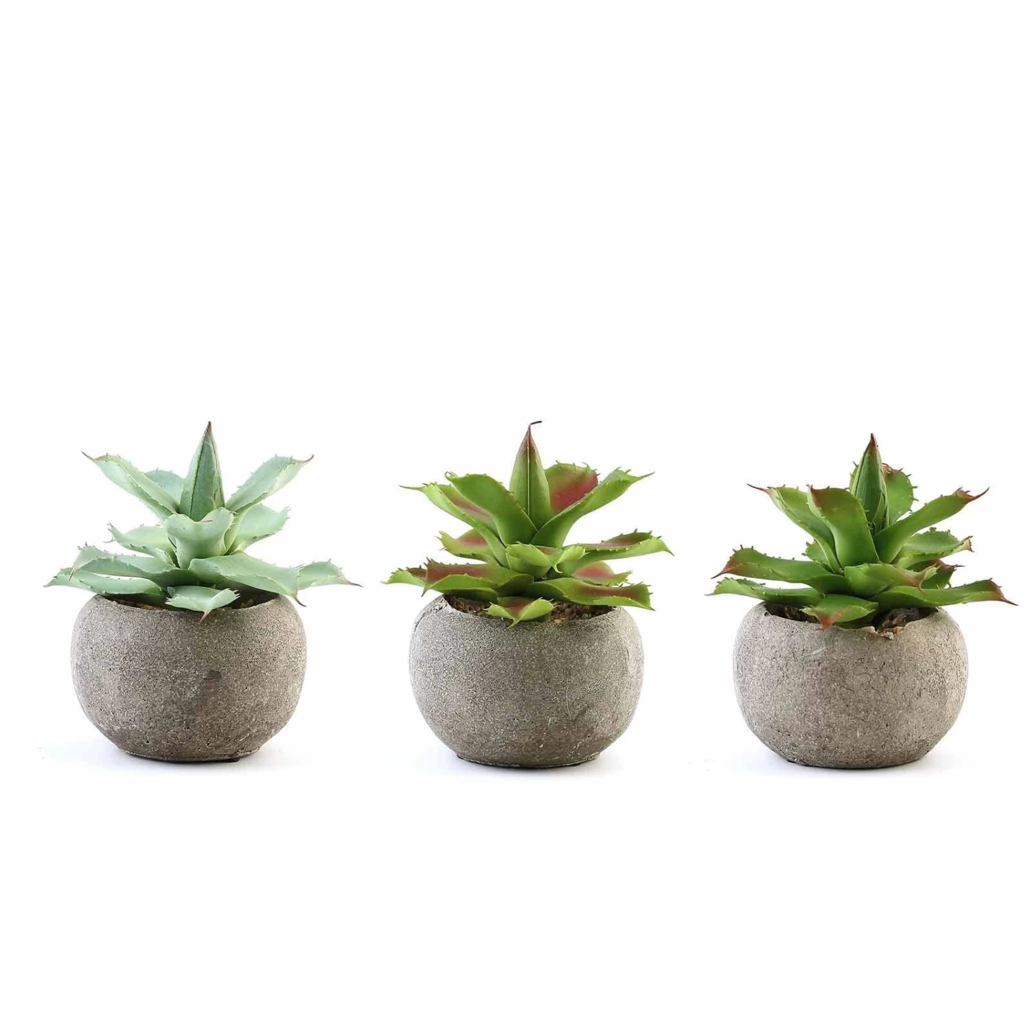 3 Pcs 5" Assorted Artificial Faux Home Garden Aloe Succulent Plants With Round Pots - Image 3
