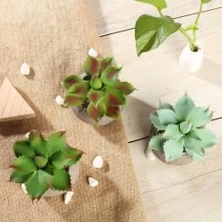 3 Pcs 5" Assorted Artificial Faux Home Garden Aloe Succulent Plants With Round Pots
