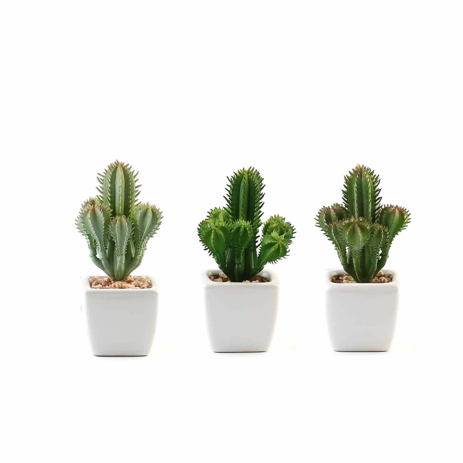 3 Pcs 5" Green Artificial Faux Succulent Cactus Plants With Off White Pots - Image 3