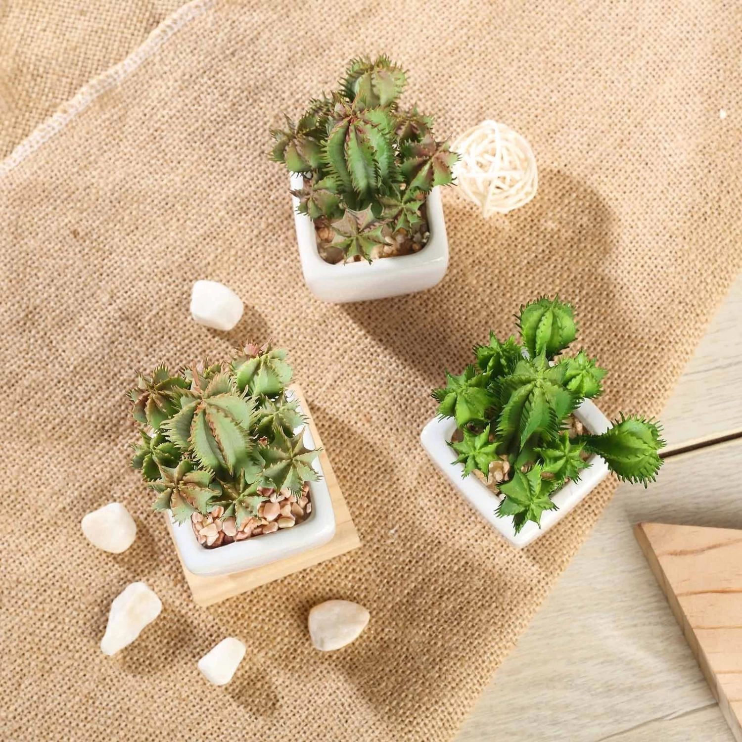 3 Pcs 5" Green Artificial Faux Succulent Cactus Plants With Off White Pots