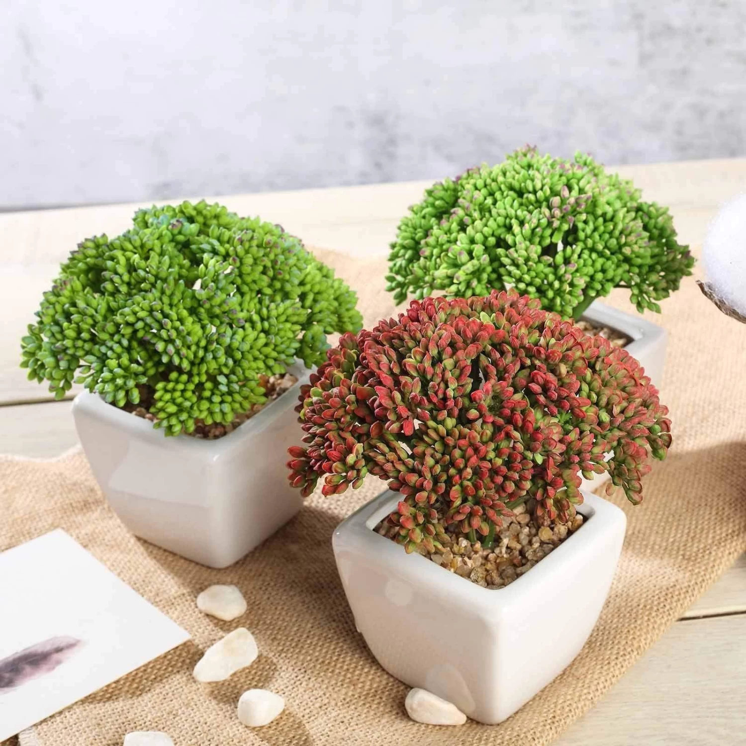 3 Pcs 6" Assorted Artificial Faux Sedum Succulent Plants With Off White Pots