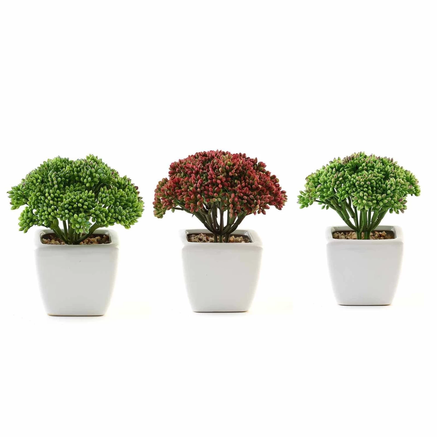 3 Pcs 6" Assorted Artificial Faux Sedum Succulent Plants With Off White Pots - Image 3