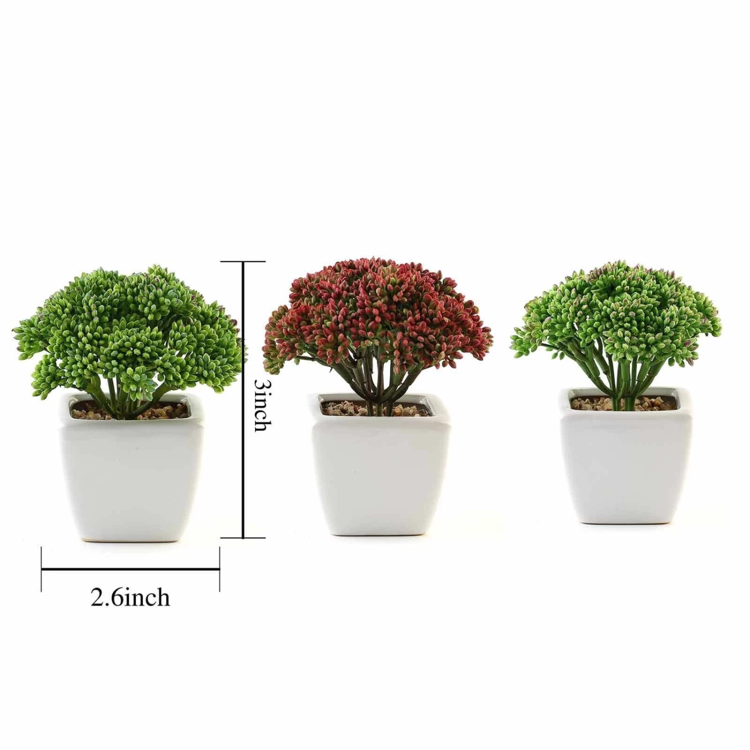 3 Pcs 6" Assorted Artificial Faux Sedum Succulent Plants With Off White Pots - Image 2
