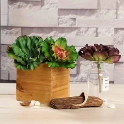 3 Pcs 6" Assorted Artificial Faux Succulent Picks Echeveria Stems Rosettes