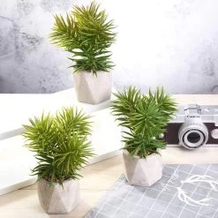 3 Pcs 8" Assorted Artificial Faux Cute Crassula Succulent Plants With Pots