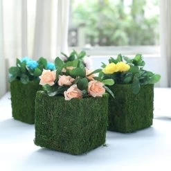4 Green 6x6 In Natural Moss Rustic Square Planter Boxes Centerpieces