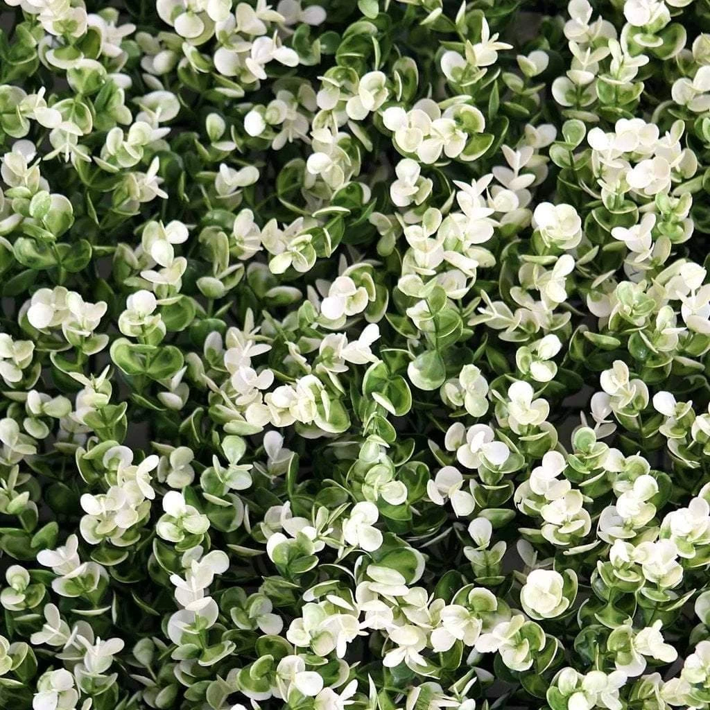 4 Pcs Green And White Artificial Boxwood Greenery Foliage UV Protected Wall Backdrop Panels - Image 3