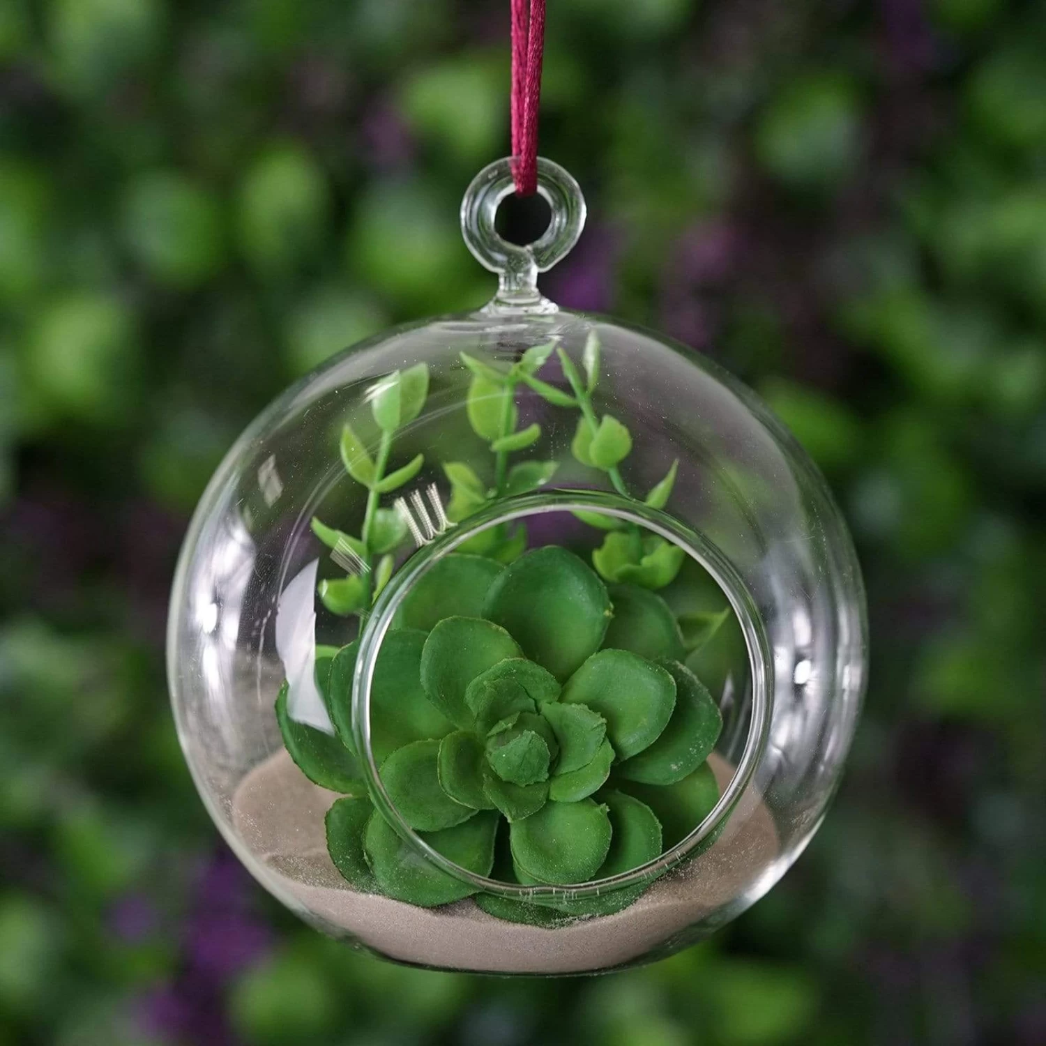 4 Round Glass Globe Hanging Terrariums - Image 3