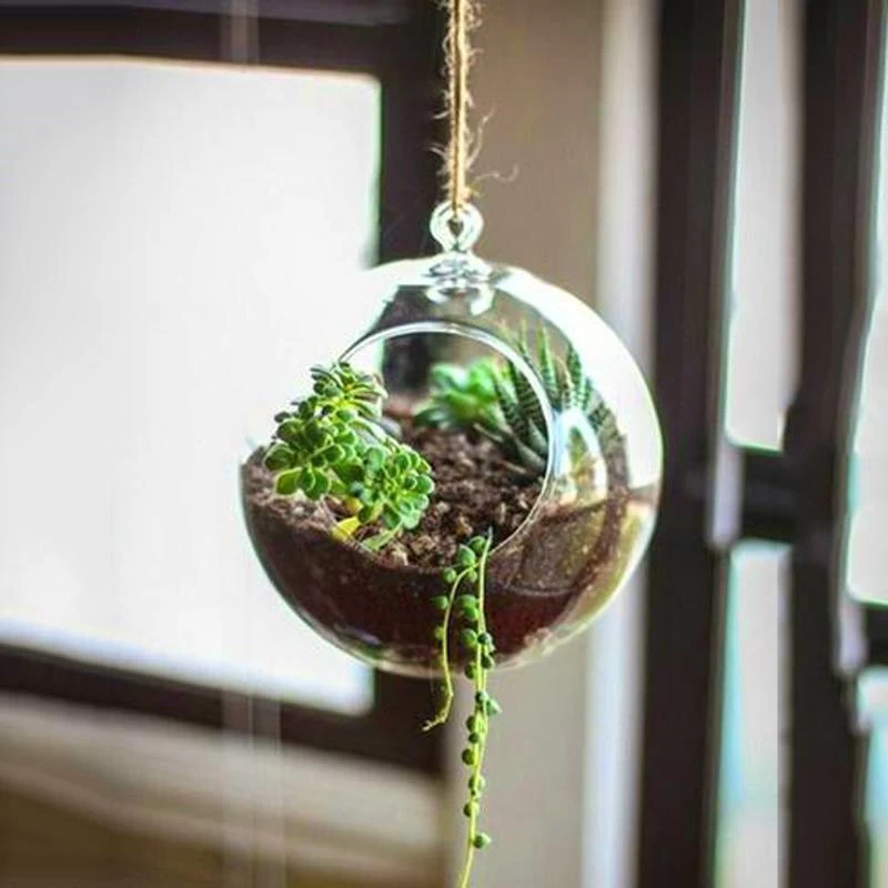 4 Round Glass Globe Hanging Terrariums