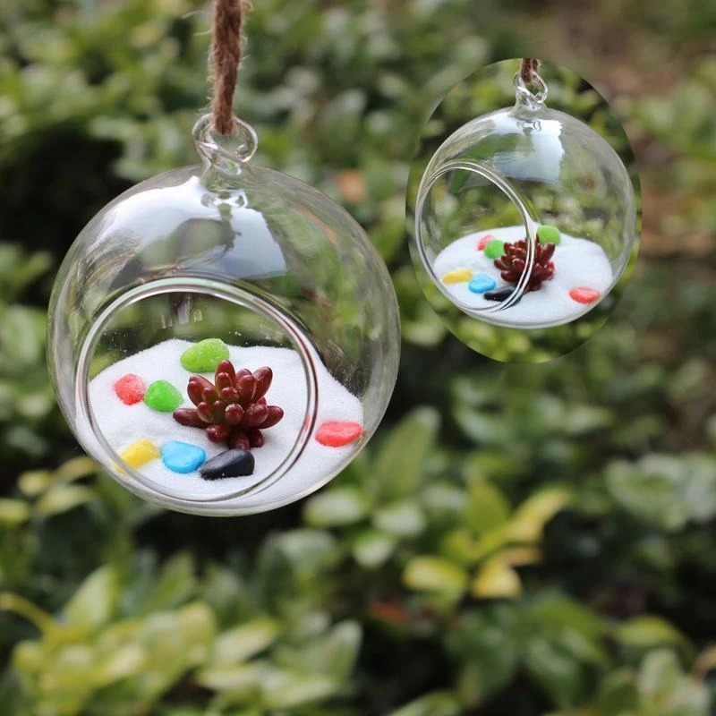 4 Round Glass Globe Hanging Terrariums - Image 5