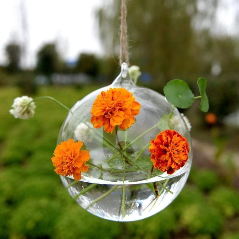 4 Round Glass Globe Hanging Terrariums - Image 6