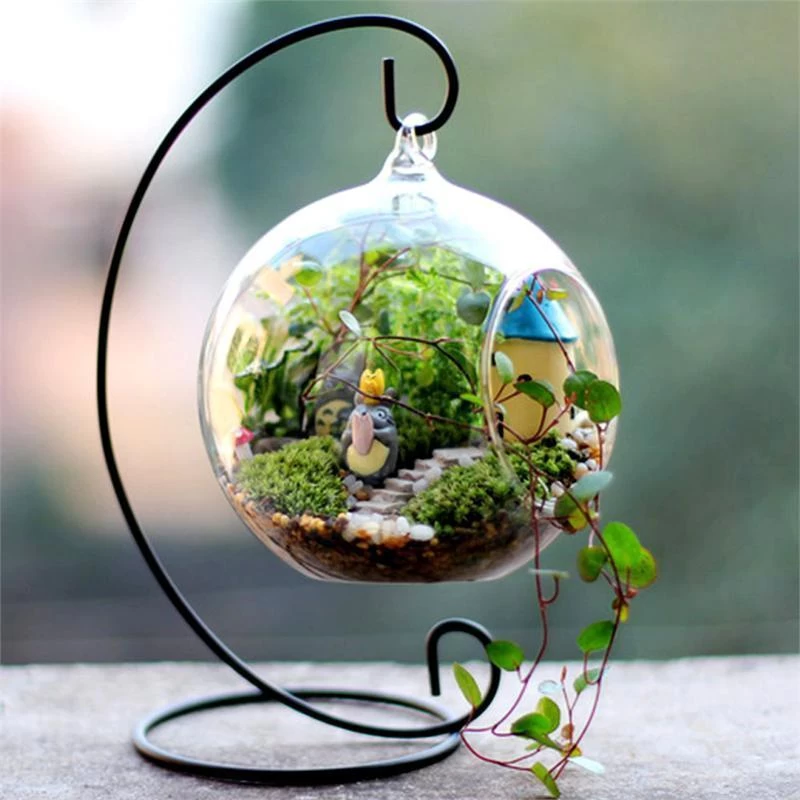 4 Round Glass Globe Hanging Terrariums - Image 7