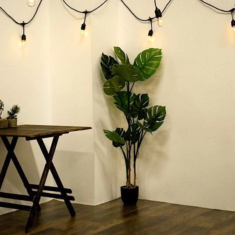 48 Feet Warm White 18 Incandescent Bulbs String Lights Garland - Image 3