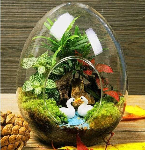 6 Egg Glass Standing Terrariums - Image 2