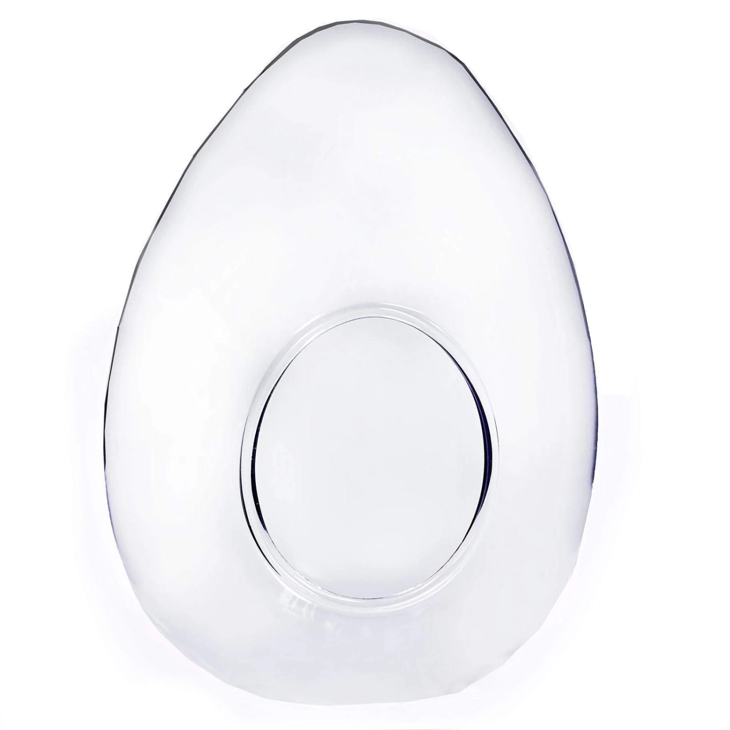 6 Egg Glass Standing Terrariums - Image 6