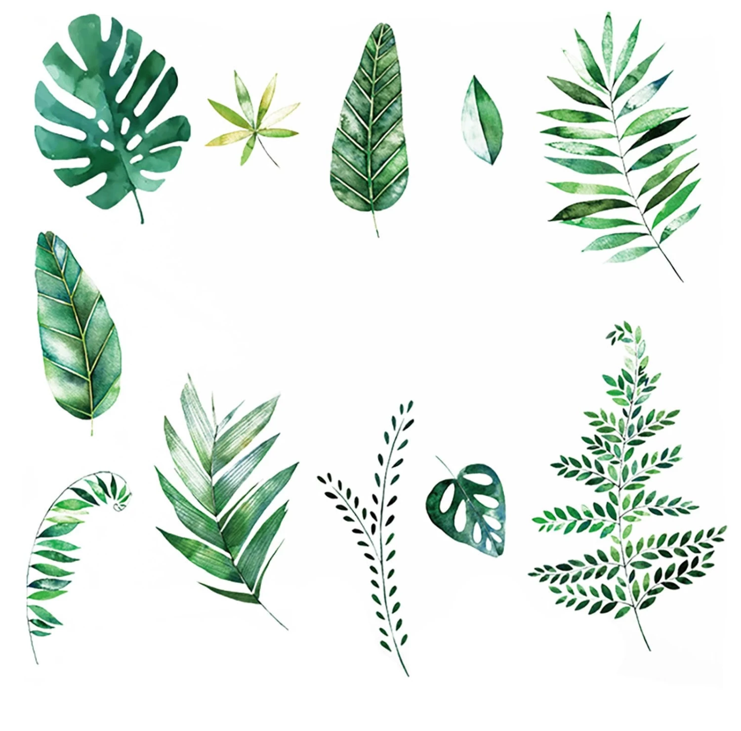 Green Assorted Tropical Leaves Removable PVC Wall Stickers - Image 3
