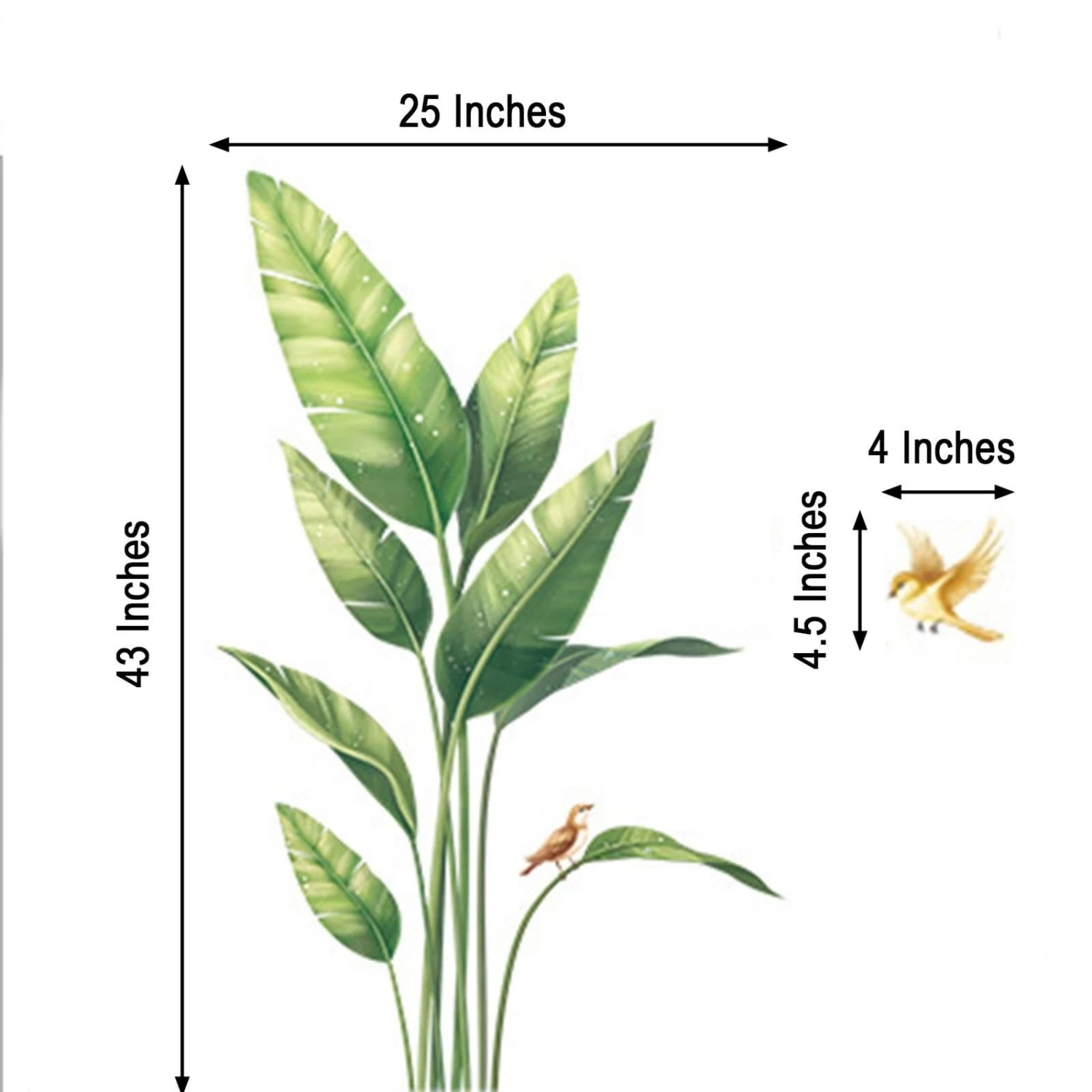 Green Tropical Plants With Birds Removable PVC Wall Stickers - Image 3