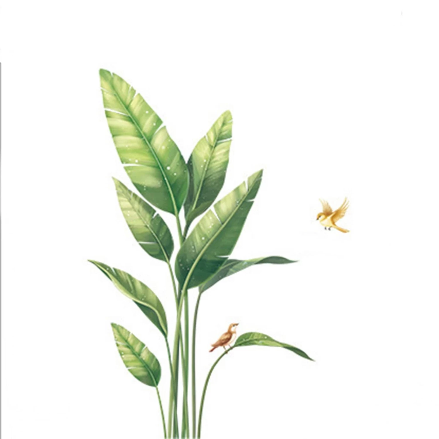 Green Tropical Plants With Birds Removable PVC Wall Stickers - Image 5