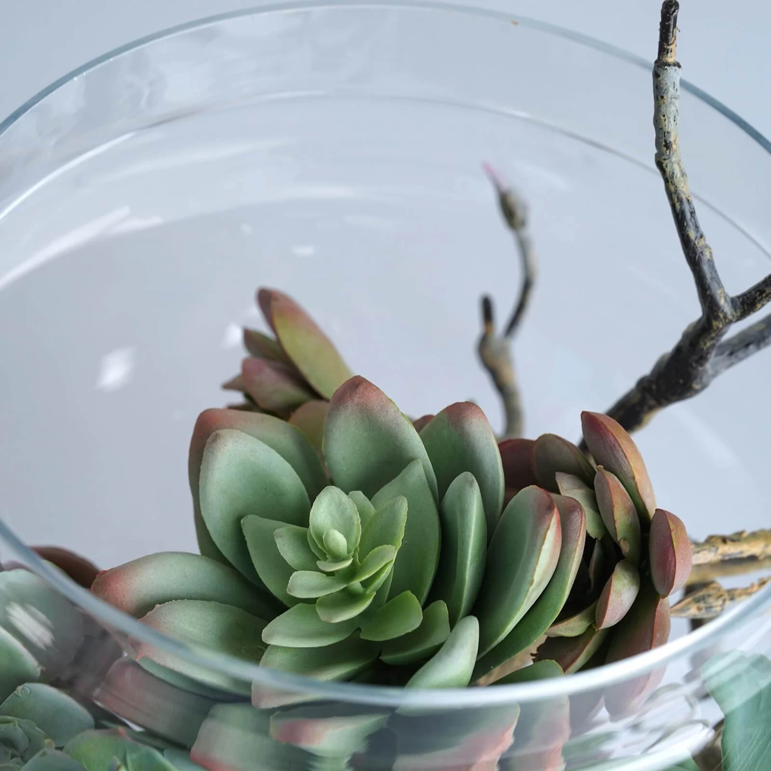 3 Pcs 10" 12" 14" Tall Clear Glass Apothecary Jars With Lids - Image 3