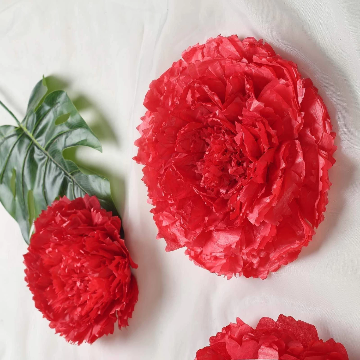 6 Pcs 12 In 16 In 20 In Wide Carnations Extra Large Paper Tissue Flowers - Image 15