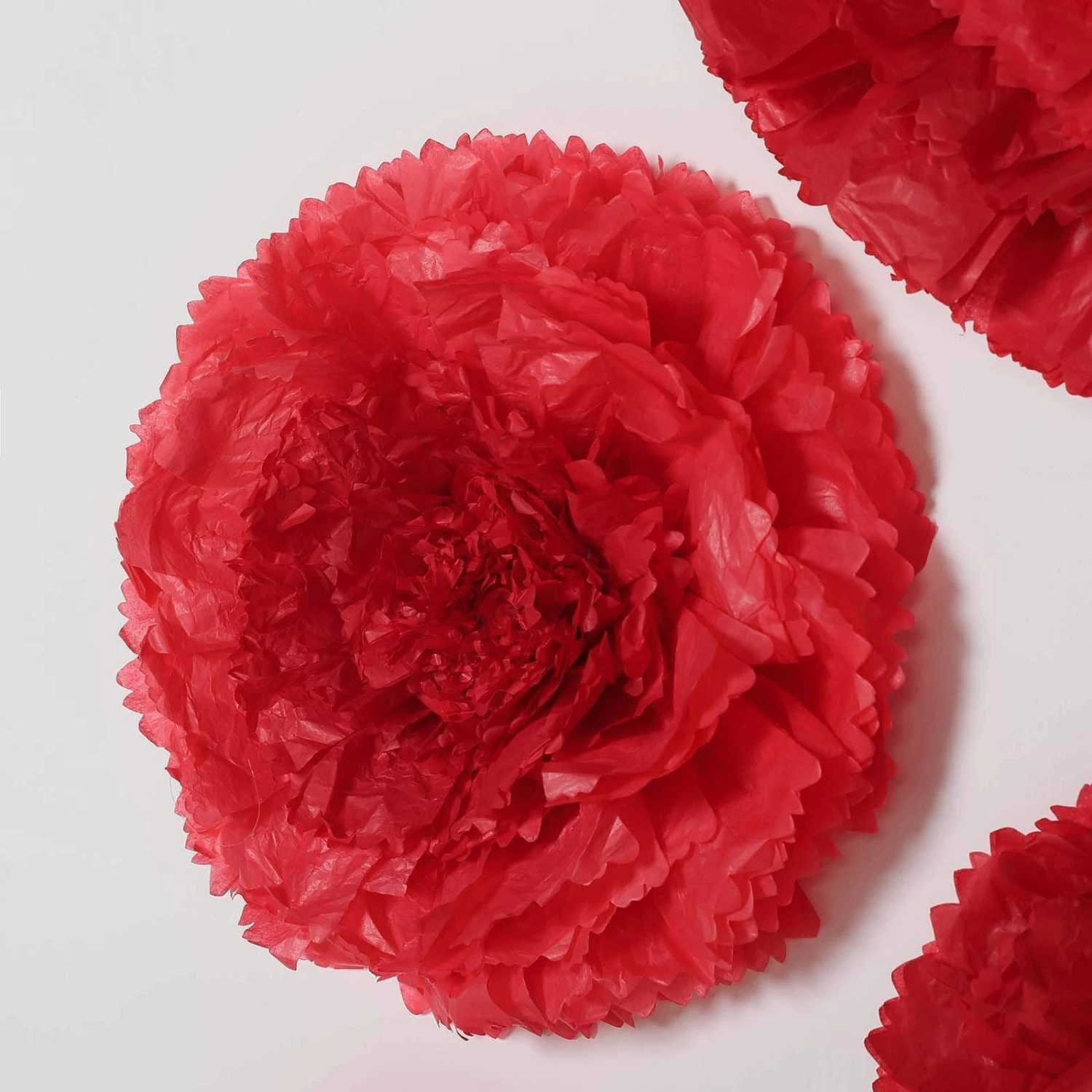 6 Pcs 12 In 16 In 20 In Wide Carnations Extra Large Paper Tissue Flowers - Image 17