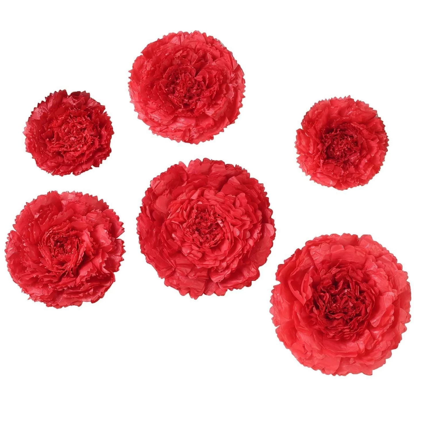 6 Pcs 12 In 16 In 20 In Wide Carnations Extra Large Paper Tissue Flowers - Image 18