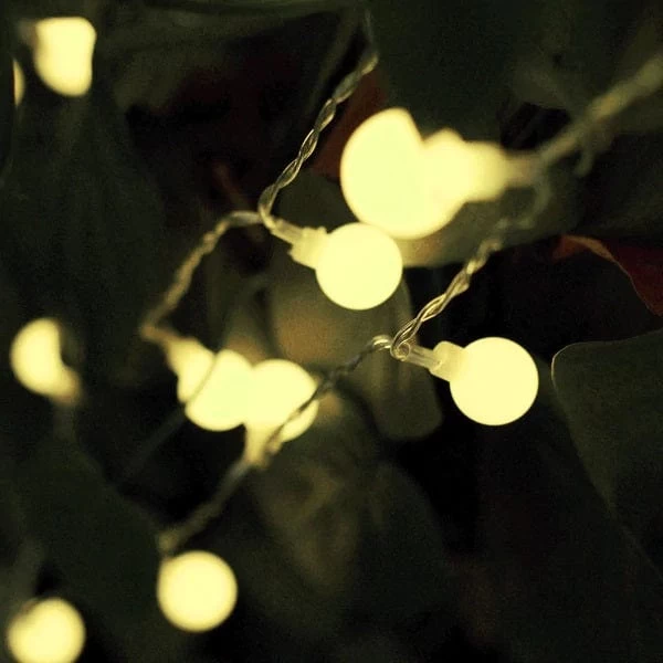 16 Feet Assorted LED Bulbs Battery Operated String Lights Garland With Remote - Image 13