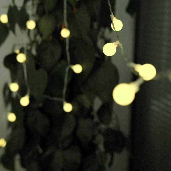 16 Feet Assorted LED Bulbs Battery Operated String Lights Garland With Remote - Image 18