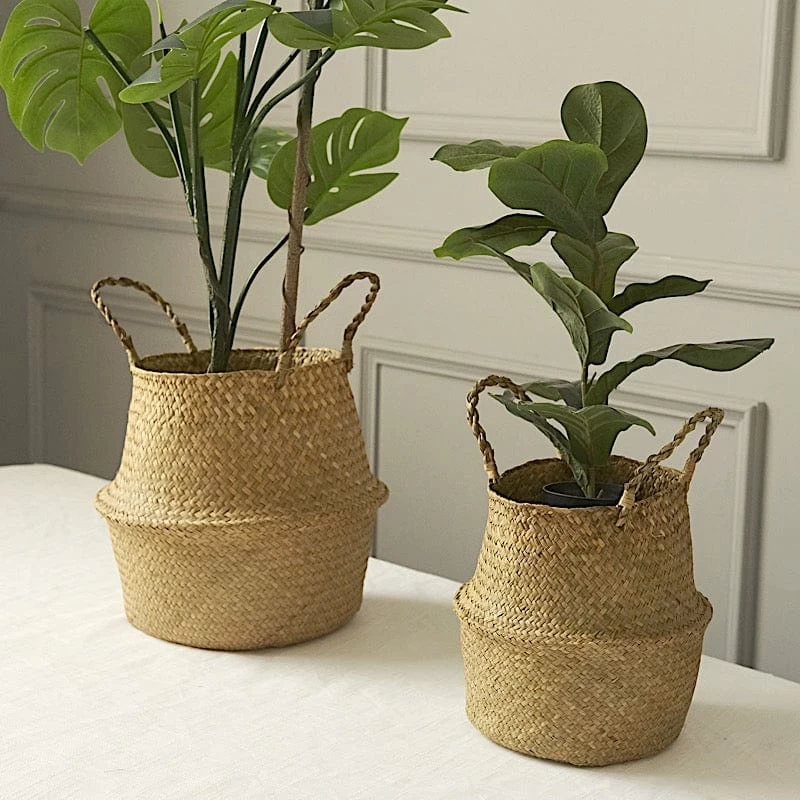 2 Natural Seagrass Woven Plant Baskets Flower Planter Holders - Image 5