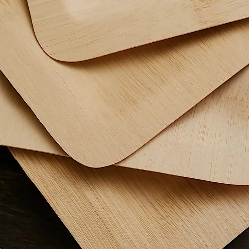 10 Pcs 9" Natural Sustainable Bamboo Square Plates - Image 10