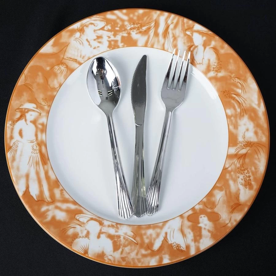 12 Pcs 11.5" Round Commercial Grade Porcelain Dinner Plates - Image 11