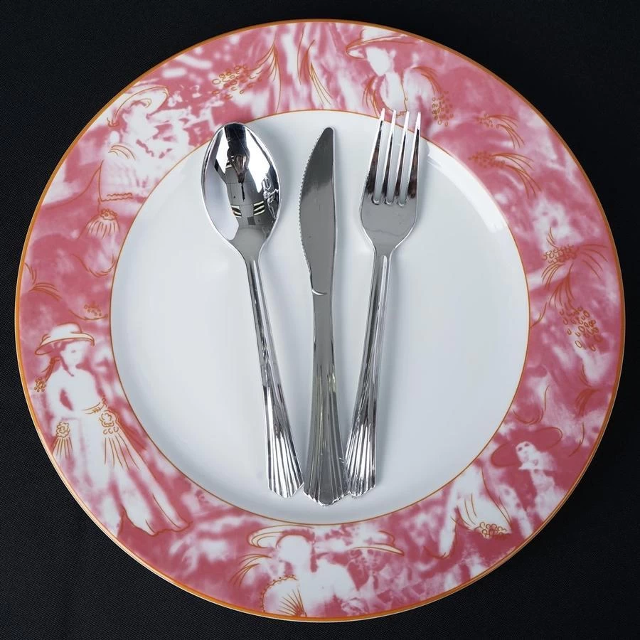 12 Pcs 11.5" Round Commercial Grade Porcelain Dinner Plates - Image 16