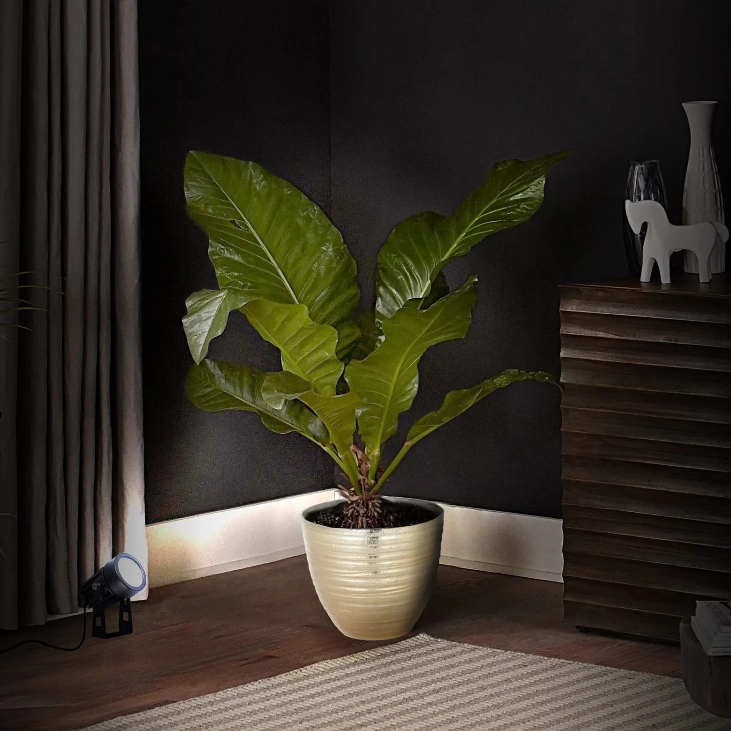 6 Watt LED Spotlights Backdrop Decorations Waterproof Landscape Lights - Image 11